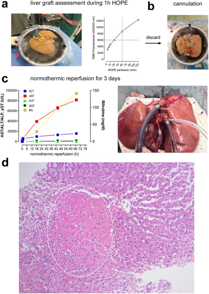 Fig. 7