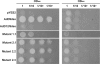 FIGURE 1.
