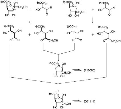 Fig. 5.