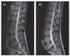 Figure 3.