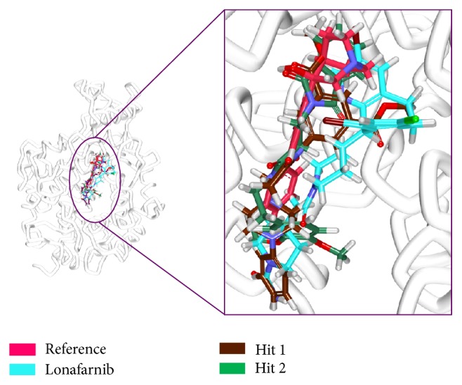 Figure 9