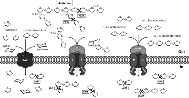 FIG. 2.