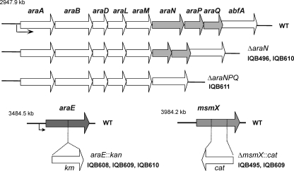 FIG. 1.