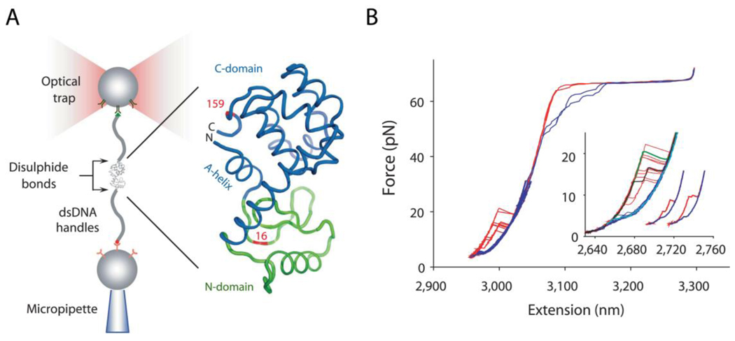 Fig. 2