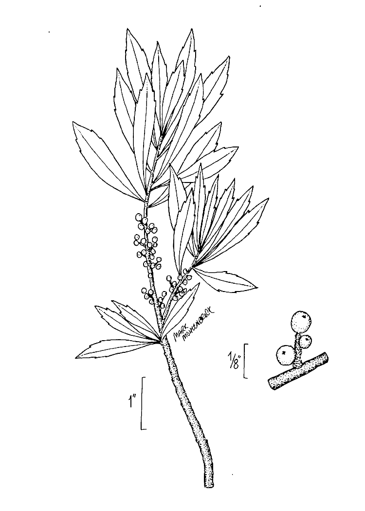 Figure 173b.