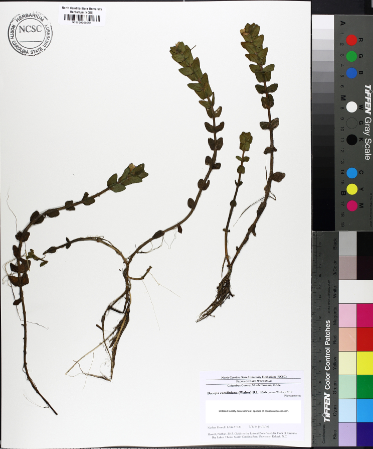 Figure 182a.