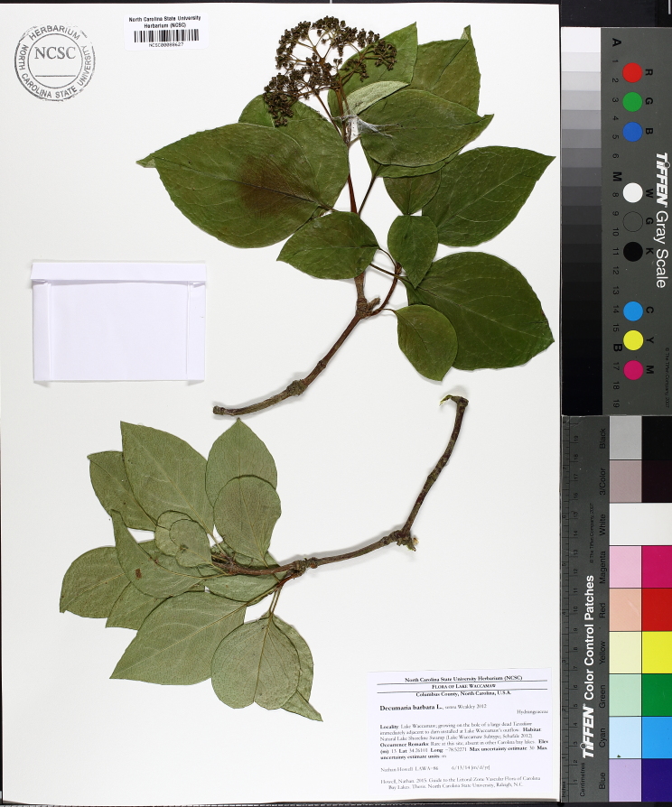 Figure 148a.