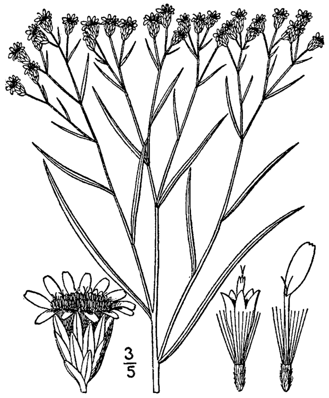 Figure 118b.