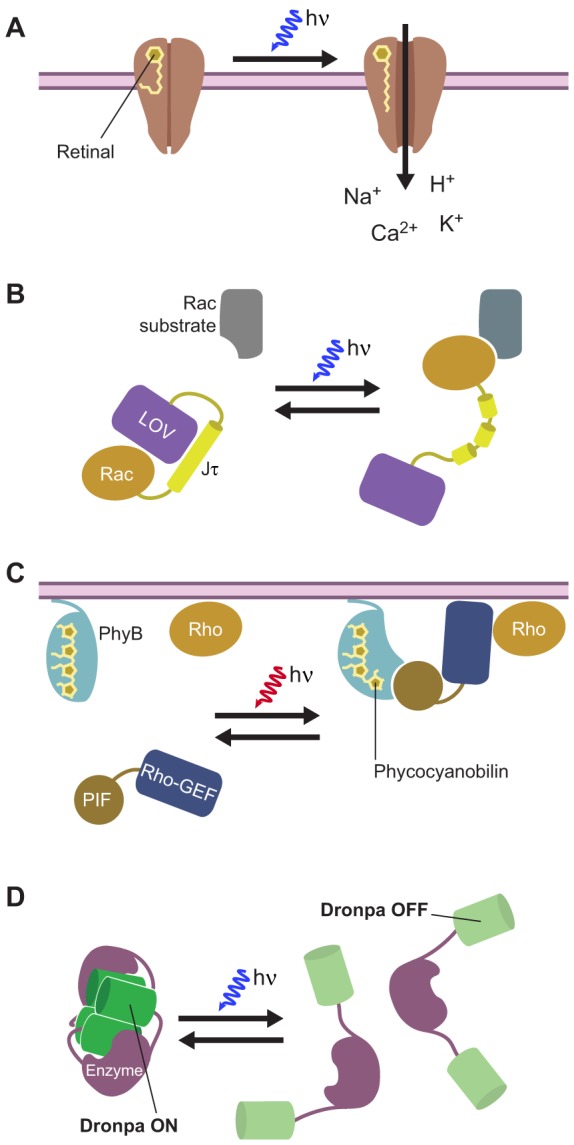 Fig. 3.