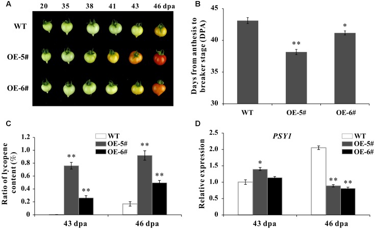 FIGURE 4