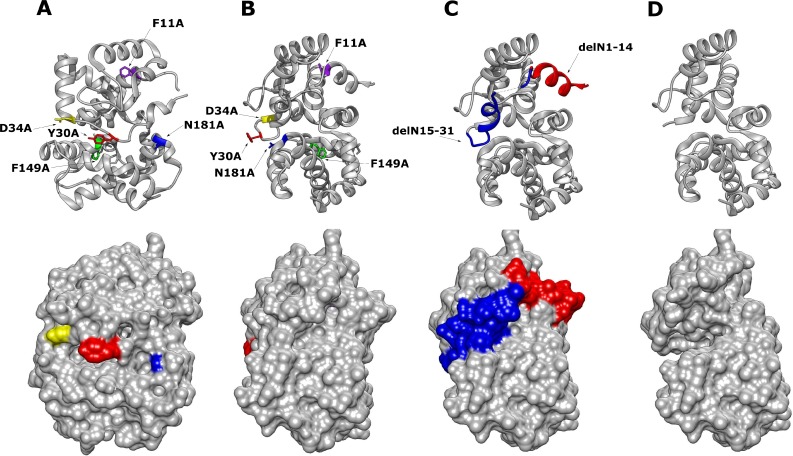 Fig 2