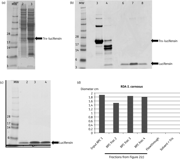 Figure 2