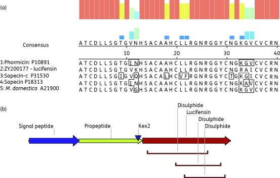 Figure 1