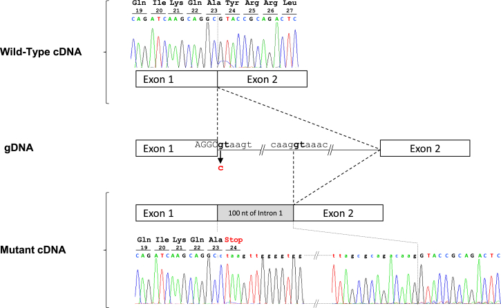 Figure 2