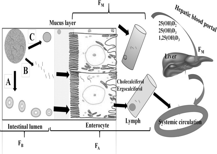 Fig. 4