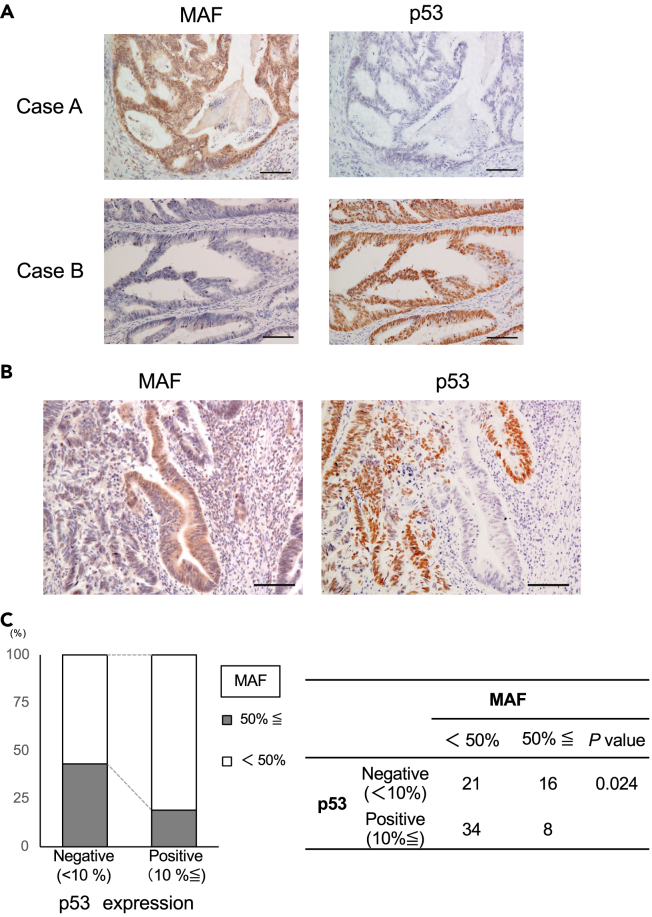 Figure 6