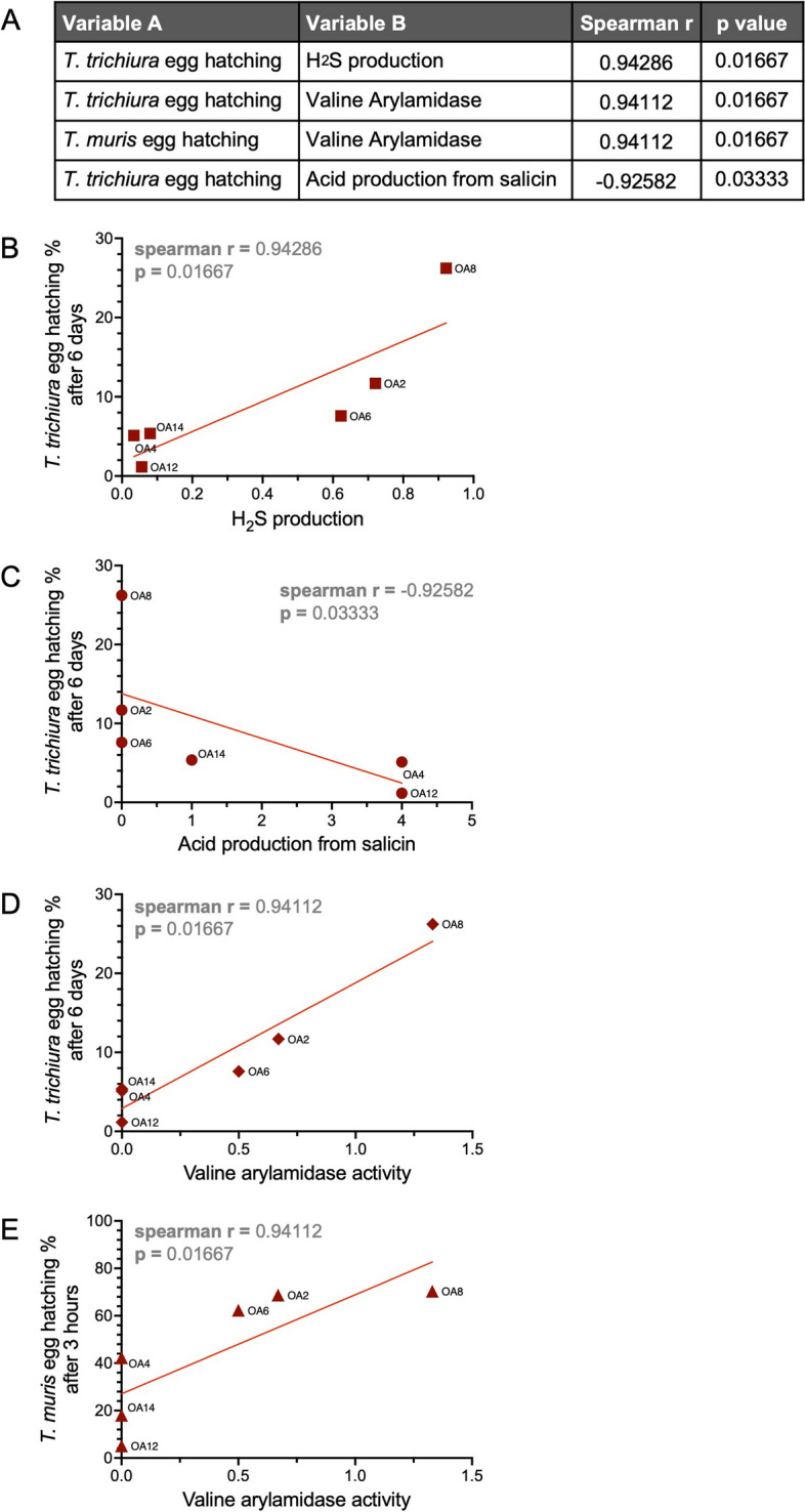 Fig. 7