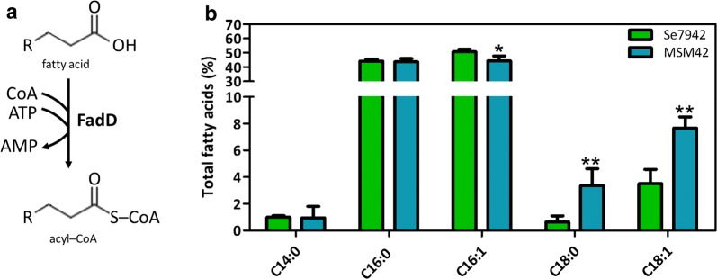 Fig. 6