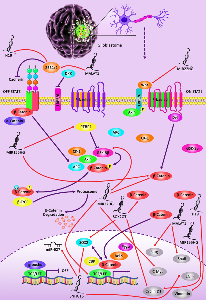 Figure 1