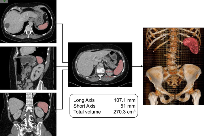 Fig. 2