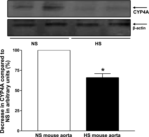 Fig. 9.