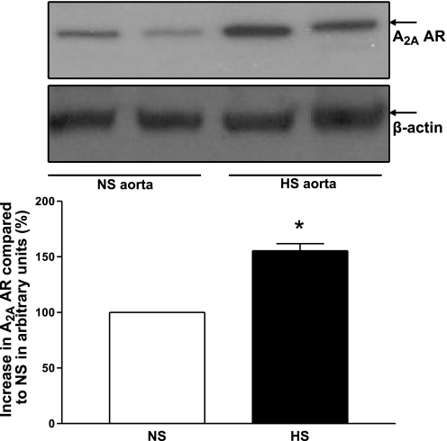 Fig. 11.