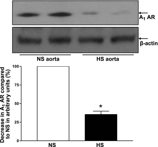 Fig. 10.