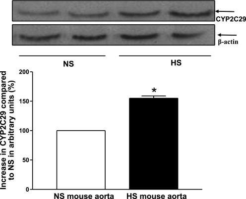 Fig. 8.