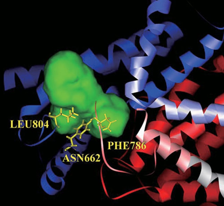 Figure 2