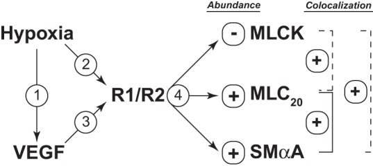 Fig. 9.