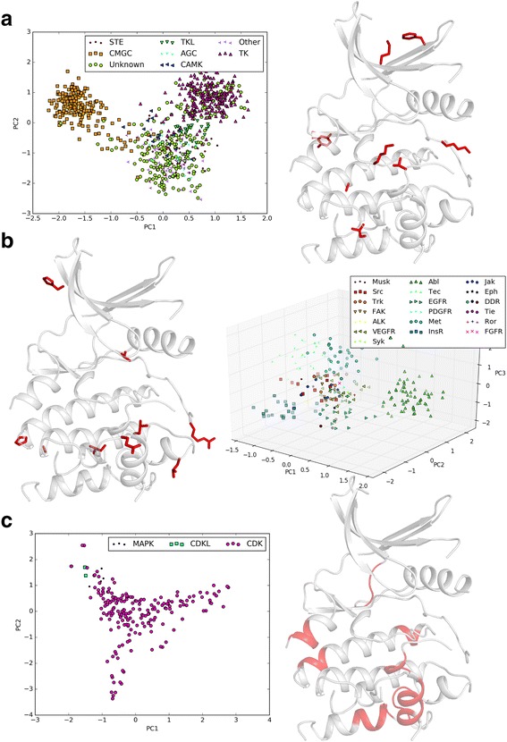 Fig. 11