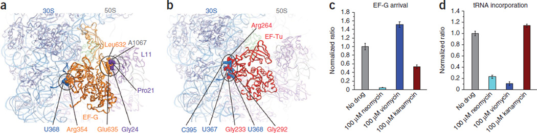 Figure 5