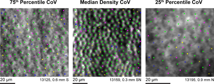 Figure 3.