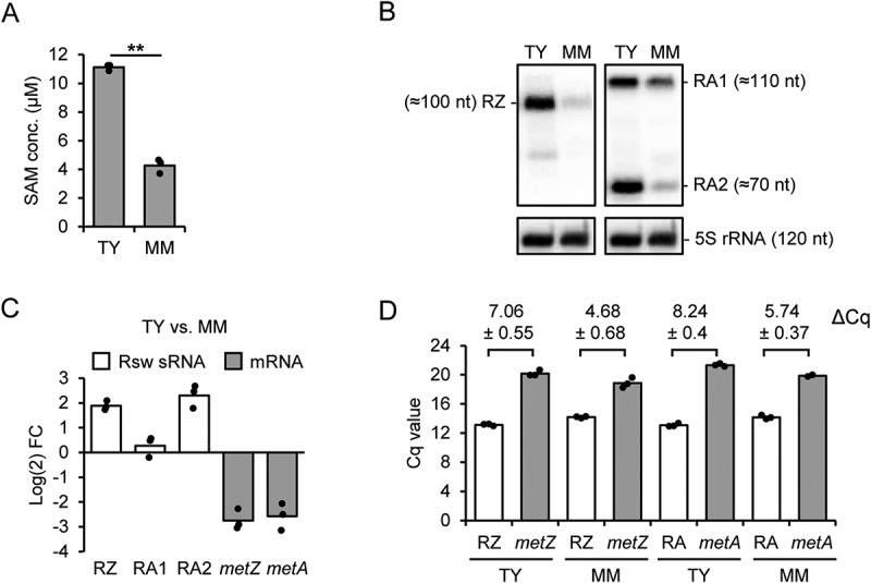 Figure 2.