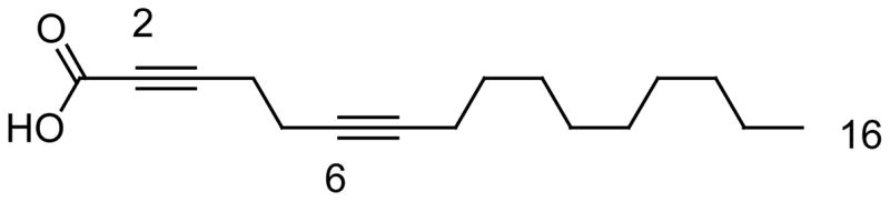 Fig. 11