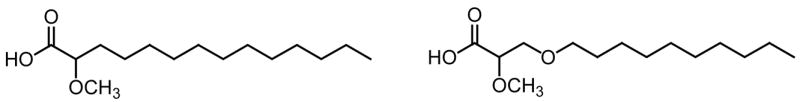 Fig. 14