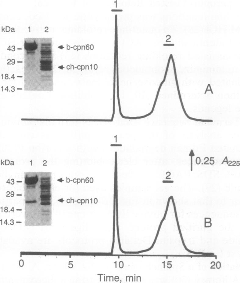 graphic file with name pnas01092-0299-a.jpg