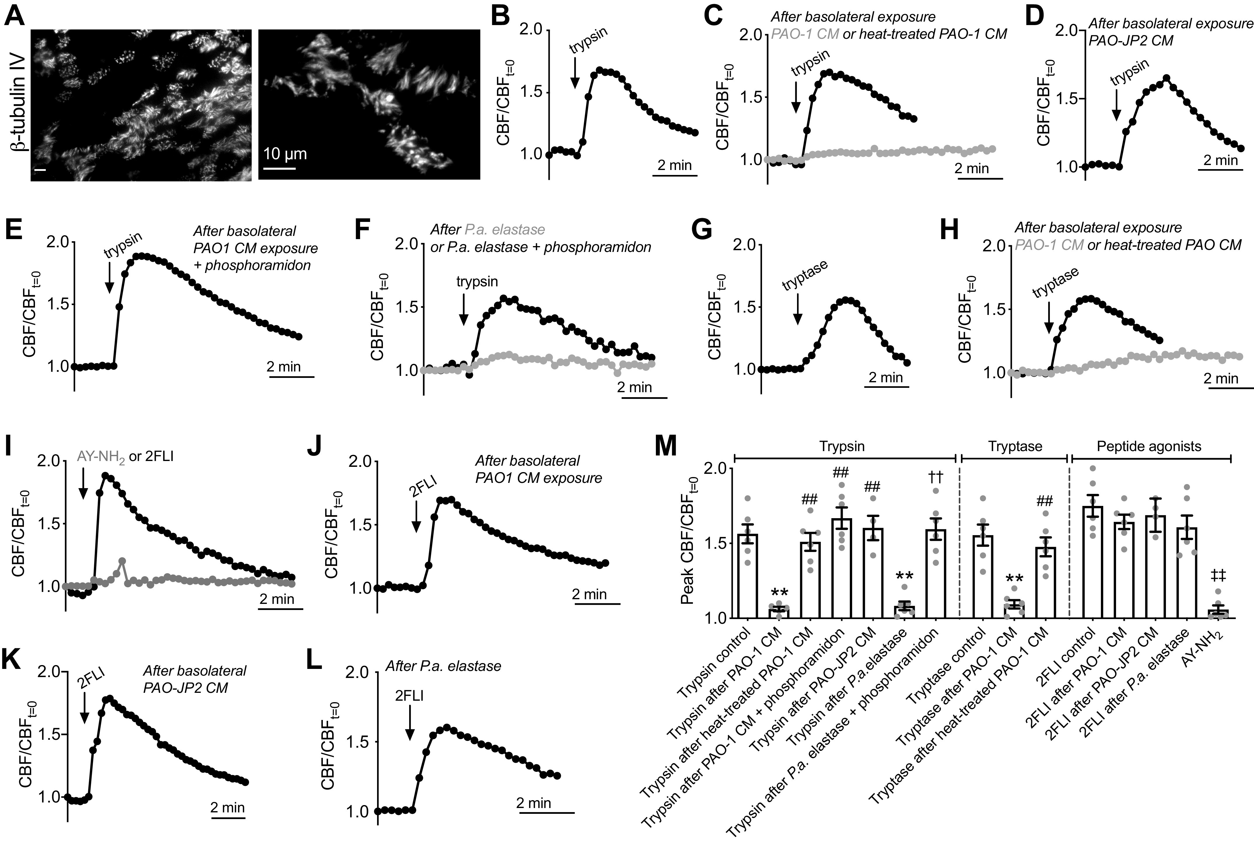 Figure 16.