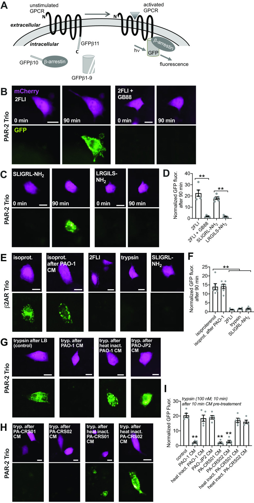 Figure 14.