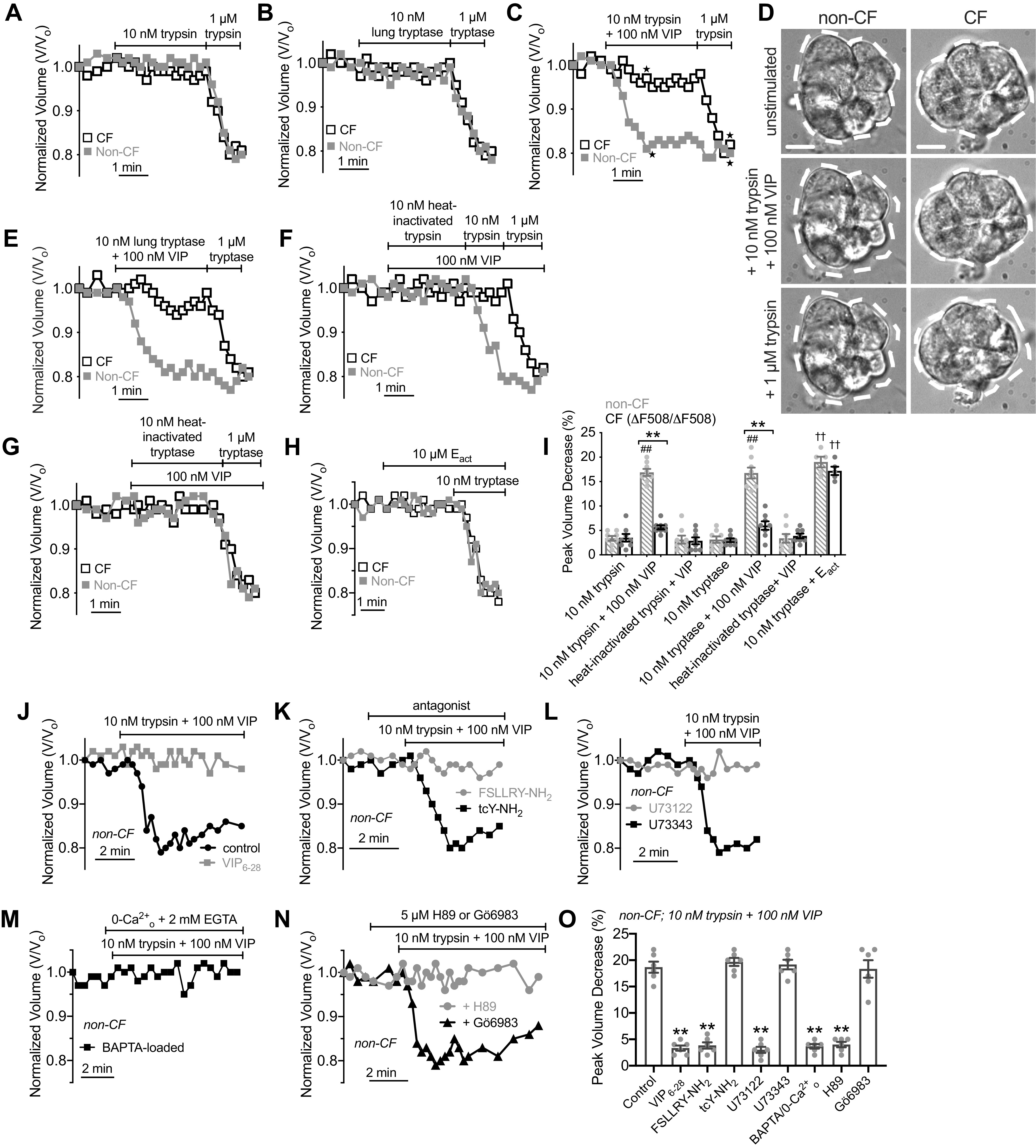 Figure 10.