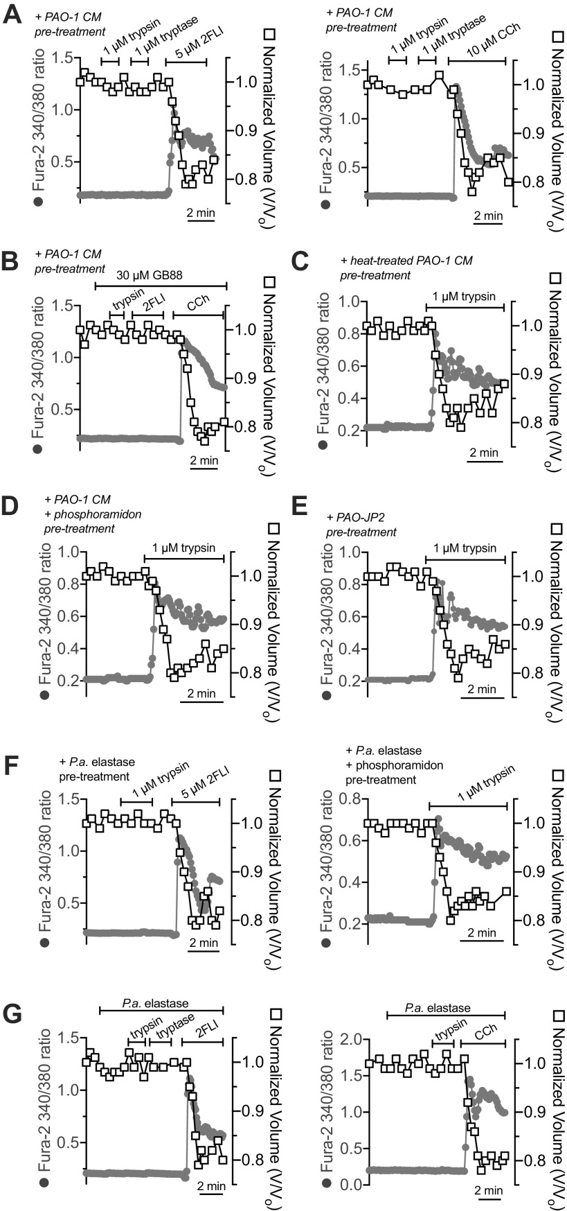 Figure 12.