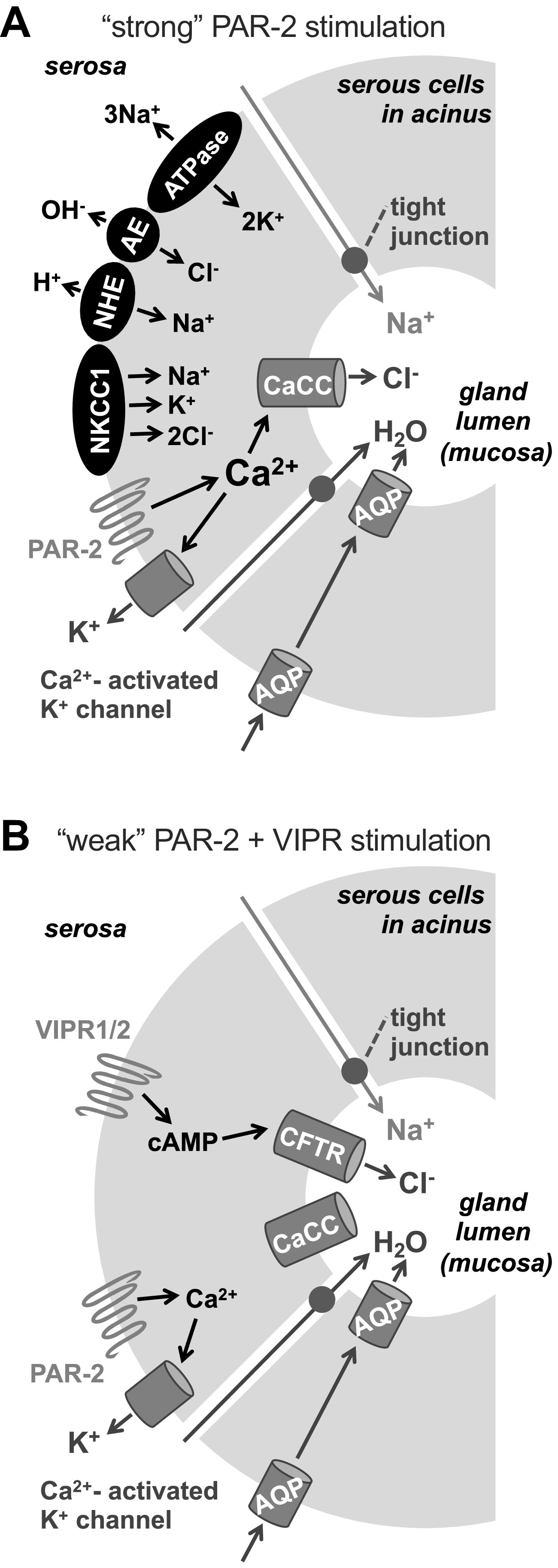 Figure 17.