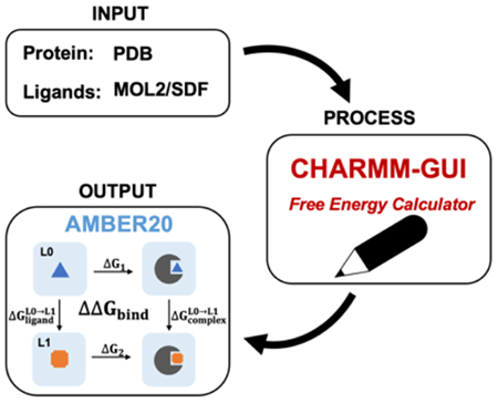 graphic file with name nihms-1742637-f0005.jpg