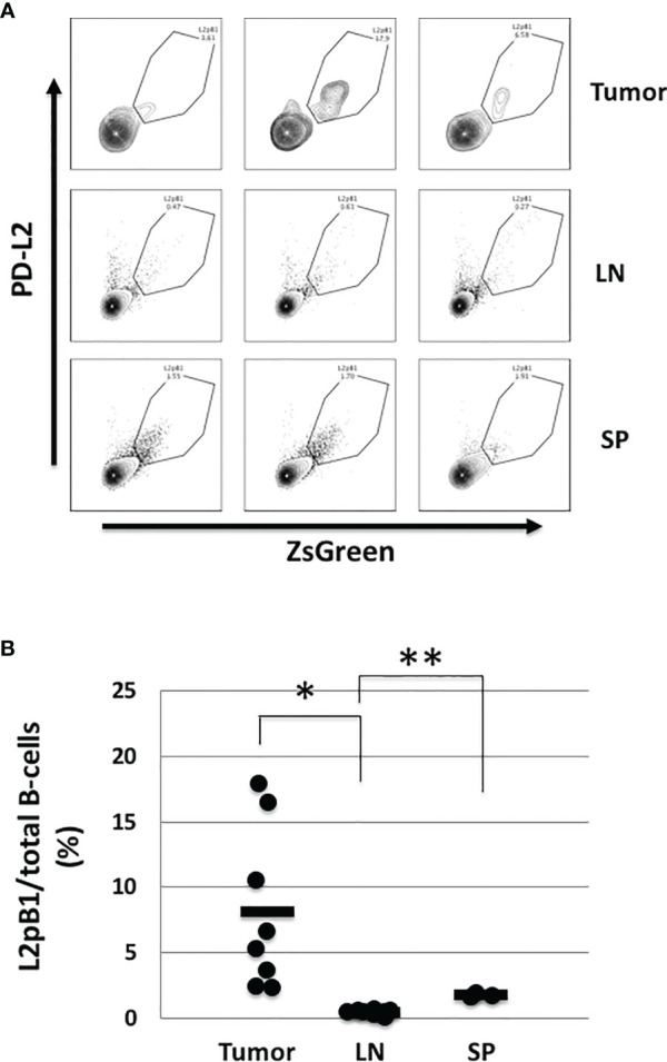 Figure 1