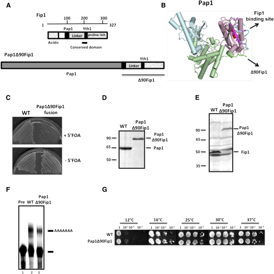 FIGURE 2.