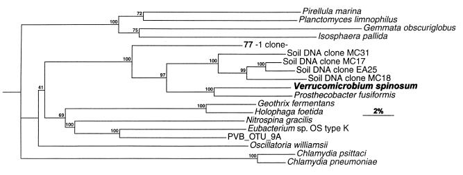 FIG. 5