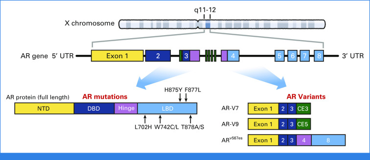 FIG 4.