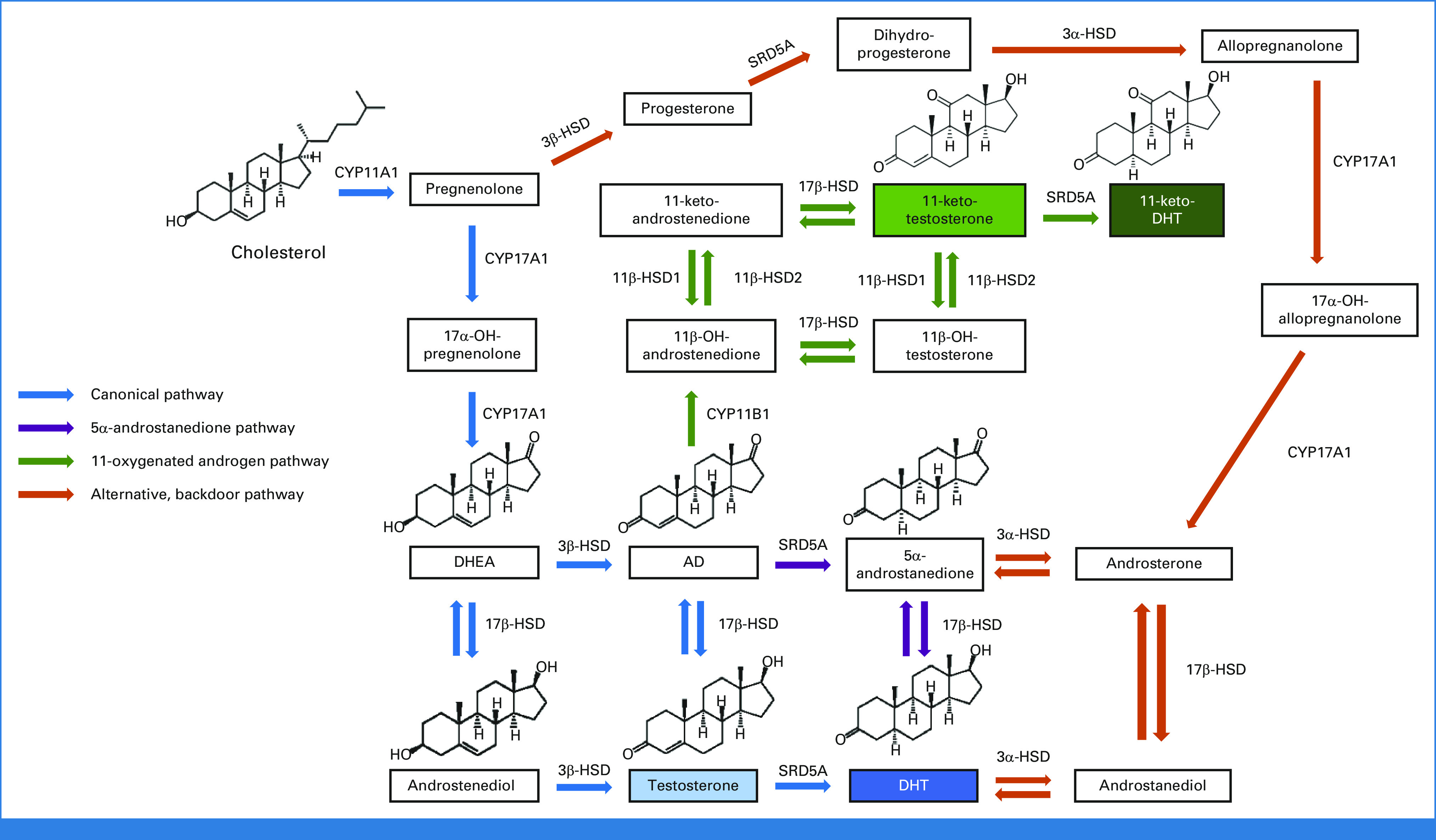 FIG 3.