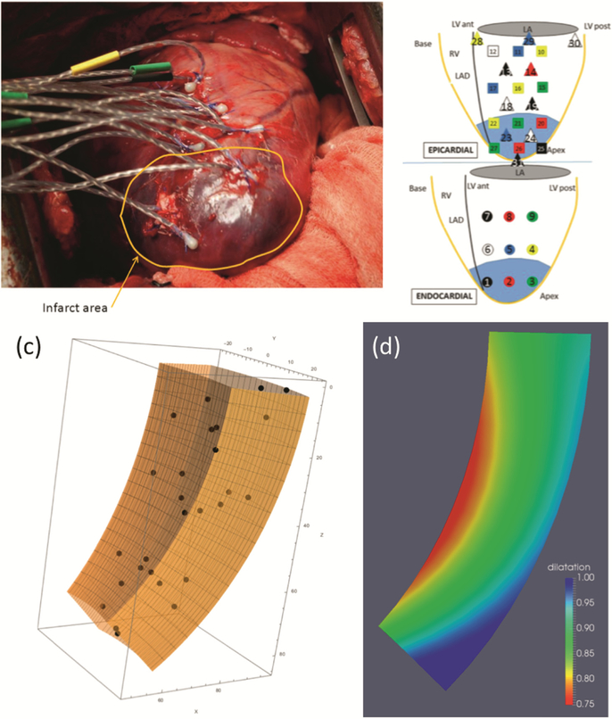 Fig. 3.