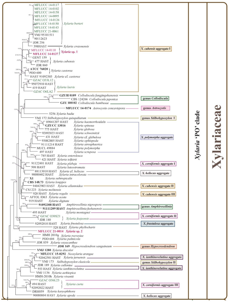 Figure 2